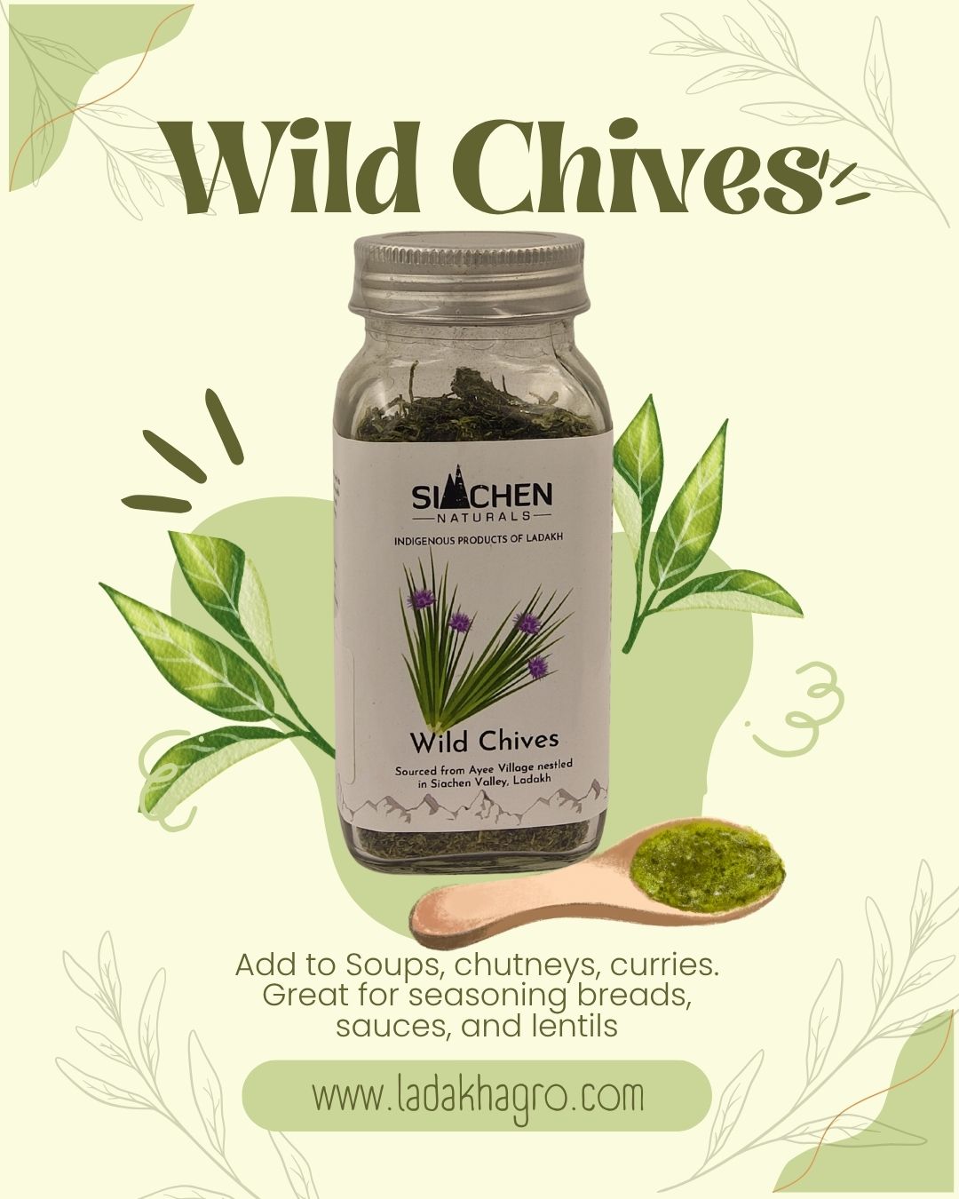 Wild Chives - Skotse
