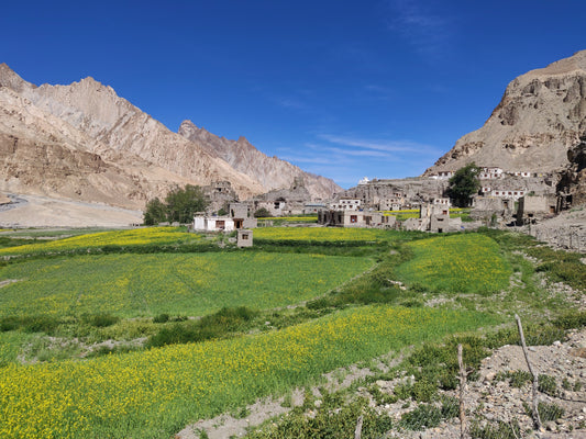 Ladakh farming, agriculture, organic farming