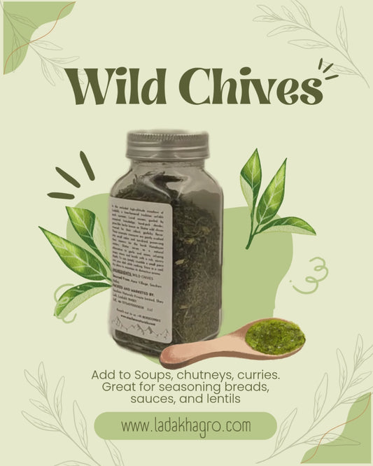 Wild Chives - Skotse