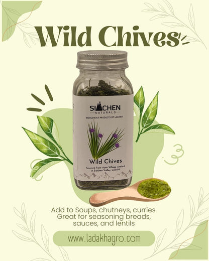 Wild Chives - Skotse