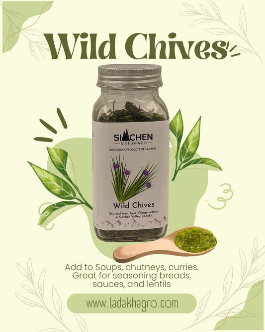 Wild Chives - Skotse